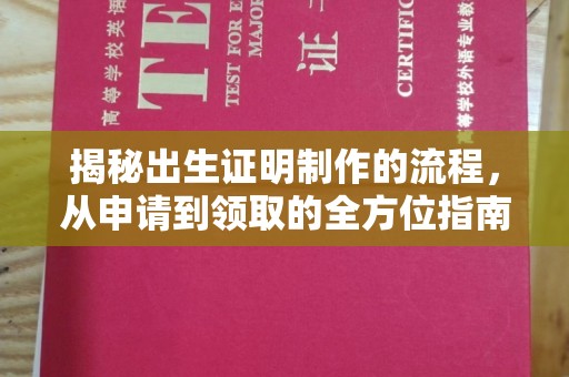 东坑揭秘出生证明制作的流程，从申请到领取的全方位指南