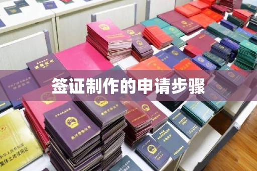 东坑签证制作的申请步骤