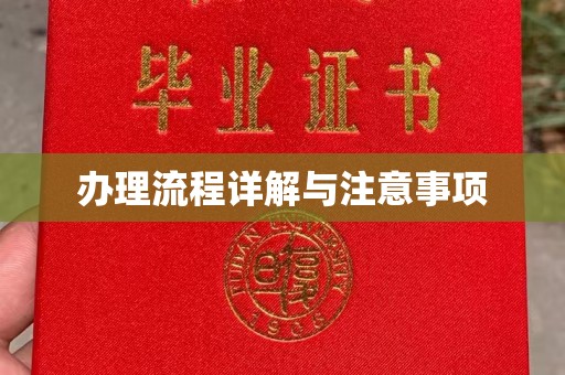 东坑办理流程详解与注意事项